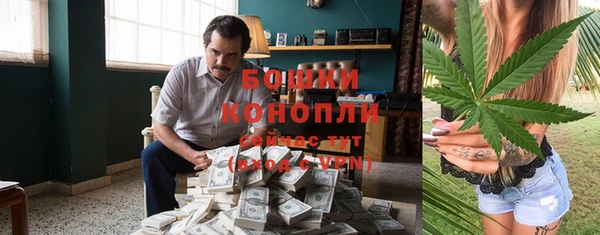 mdpv Горно-Алтайск