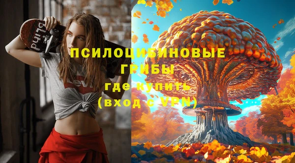 соль ск Горнозаводск