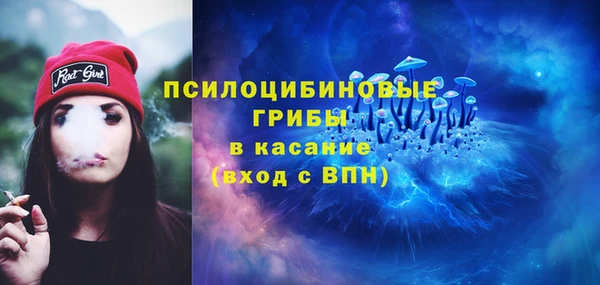 дмт Конаково