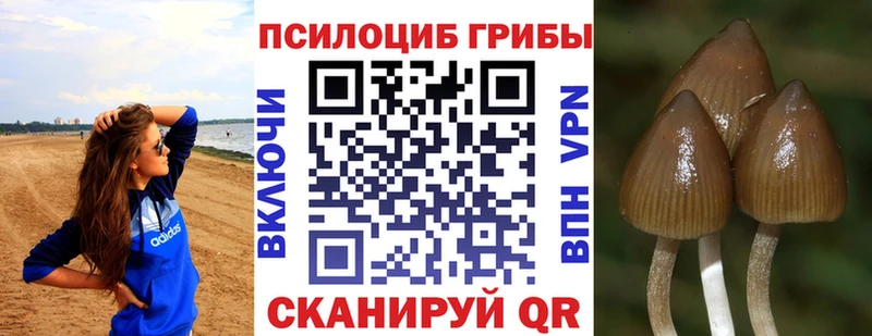 Галлюциногенные грибы мухоморы  даркнет сайт  Заинск 