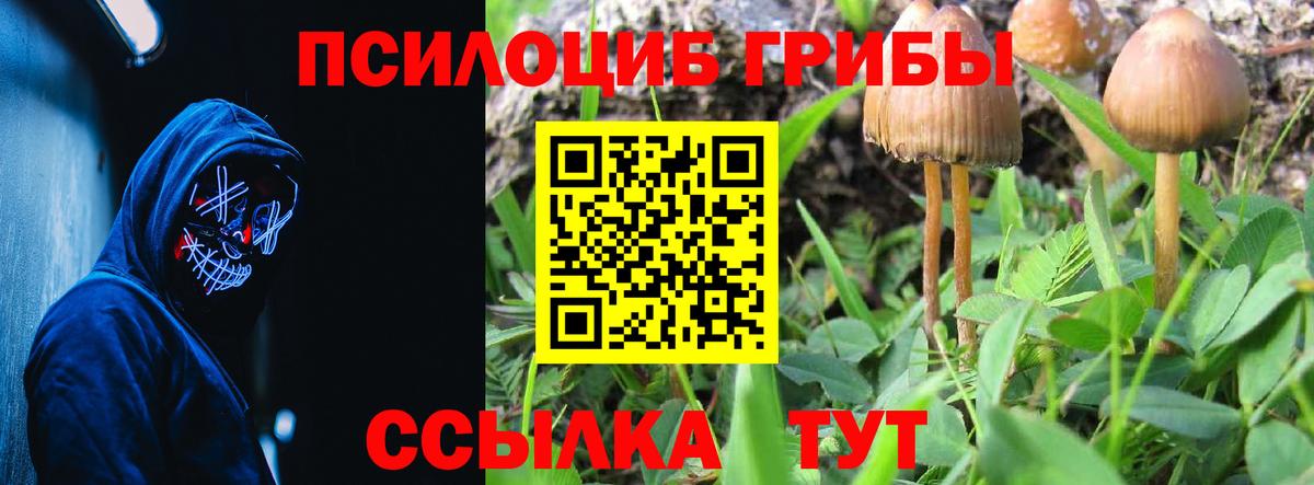 Галлюциногенные грибы прущие грибы  Вход с VPN  Заинск 