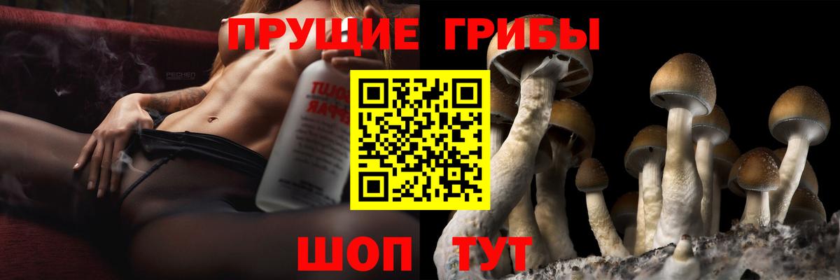 Псилоцибиновые грибы прущие грибы Заинск